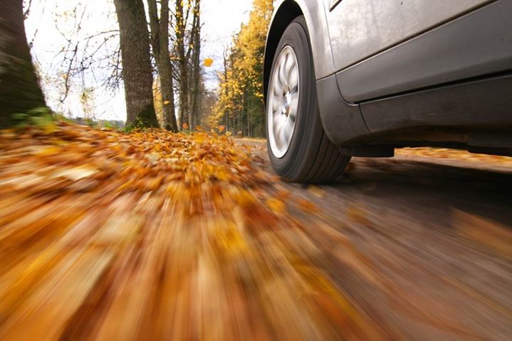 Porady na jesienny okres: Nie daj się podmuchom – z pozoru niewinny wiatr może nawet doprowadzić…