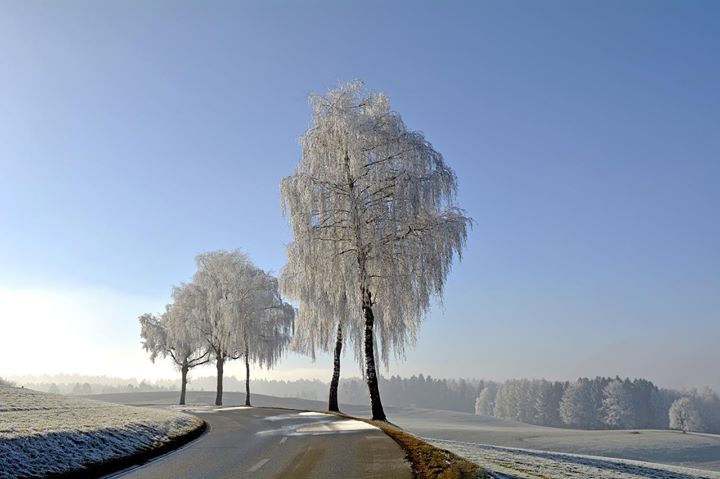 Jest wiosna, a niestety jest zimno i pada śnieg. My mamy opony letnie…Kierowcy, którzy jeszcze nie…